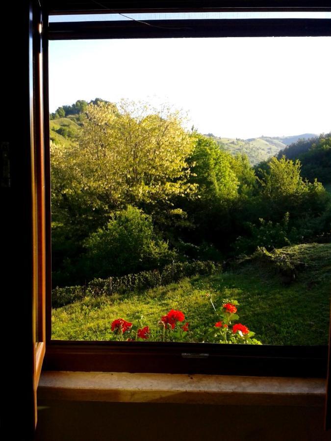 Agriturismo Il Casale Pica Posta المظهر الخارجي الصورة