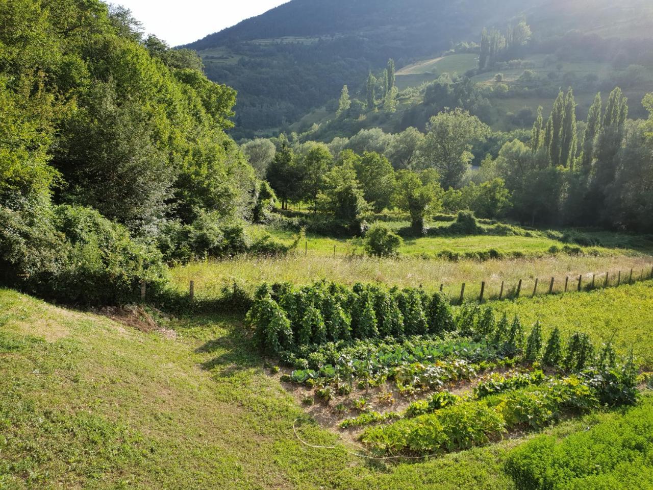 Agriturismo Il Casale Pica Posta المظهر الخارجي الصورة