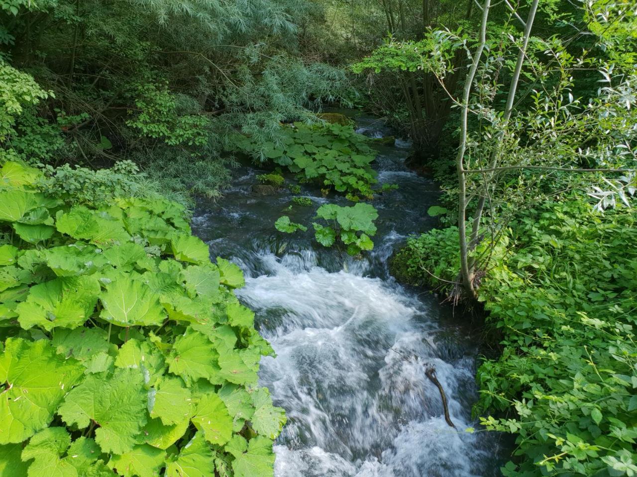 Agriturismo Il Casale Pica Posta المظهر الخارجي الصورة